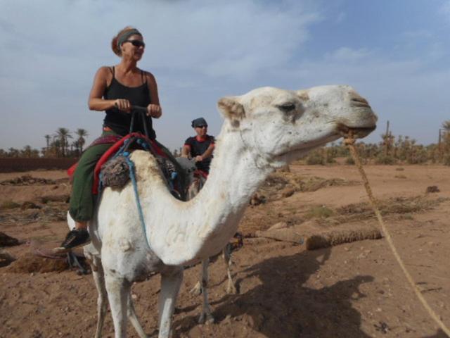 Hotel Carrefour Des Nomades M'Hamid Ngoại thất bức ảnh